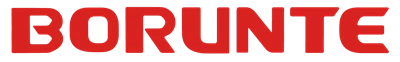 Borunte